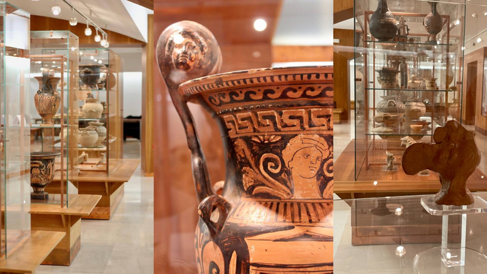 GEP 2024 - Rutigliano fra arte, archeologia e artigianato al Museo Civico